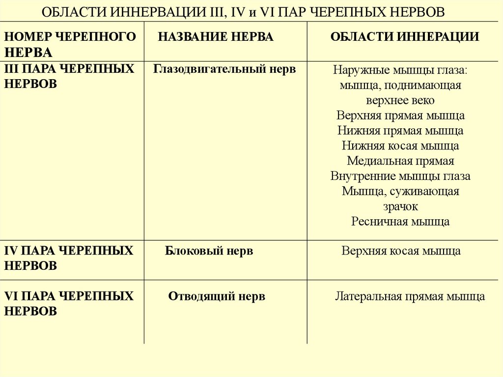 НОМЕР ЧЕРЕПНОГО НАЗВАНИЕ НЕРВА ОБЛАСТИ ИННЕРАЦИИ НЕРВА III ПАРА ЧЕРЕПНЫХ Глазодвигательный нерв НЕРВОВ IV ПАРА ЧЕРЕПНЫХ