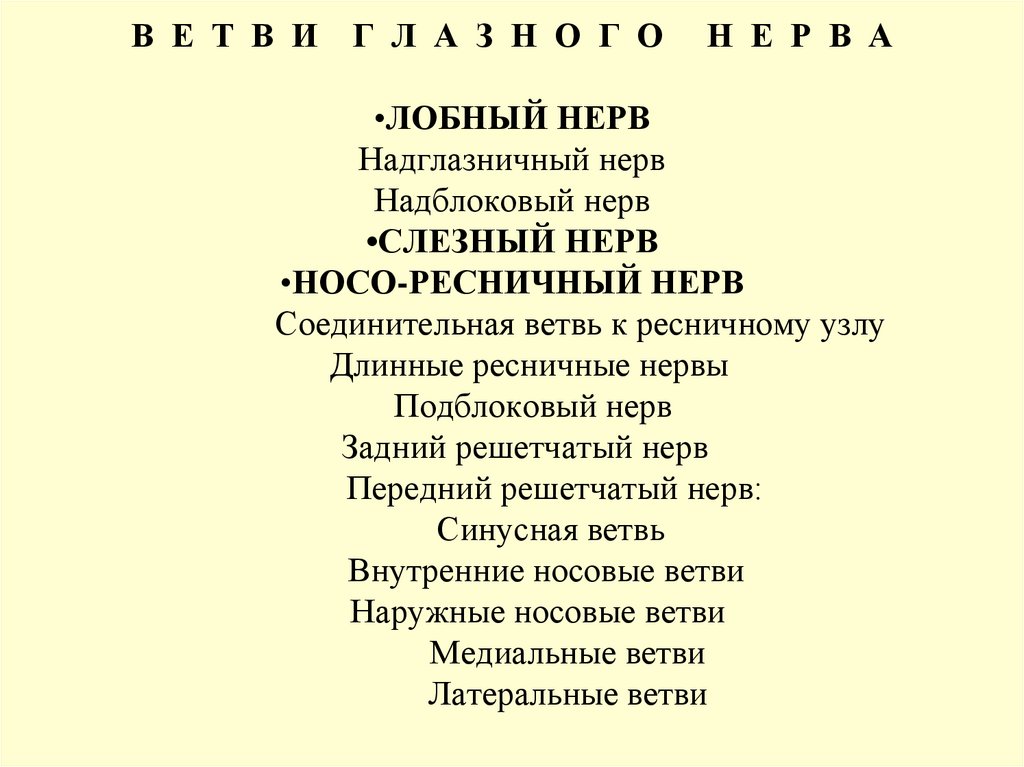 В Е Т В И Г Л А З Н О Г О Н Е Р В А •ЛОБНЫЙ НЕРВ Надглазничный нерв Надблоковый нерв •СЛЕЗНЫЙ НЕРВ •НОСО-РЕСНИЧНЫЙ НЕРВ