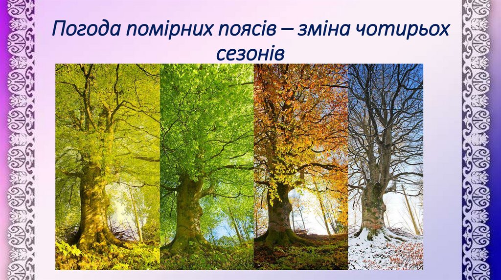 Погода помірних поясів – зміна чотирьох сезонів
