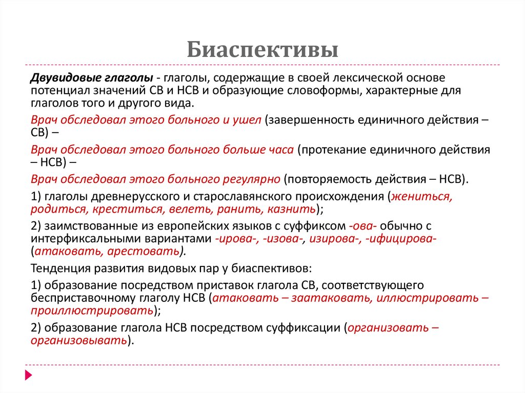 Биаспективы