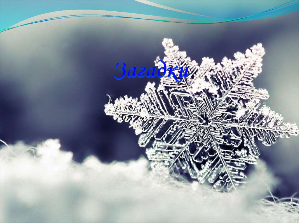 Загадки