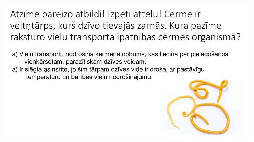 Atzīmē pareizo atbildi! Izpēti attēlu! Cērme ir veltņtārps, kurš dzīvo tievajās zarnās. Kura pazīme raksturo vielu transporta
