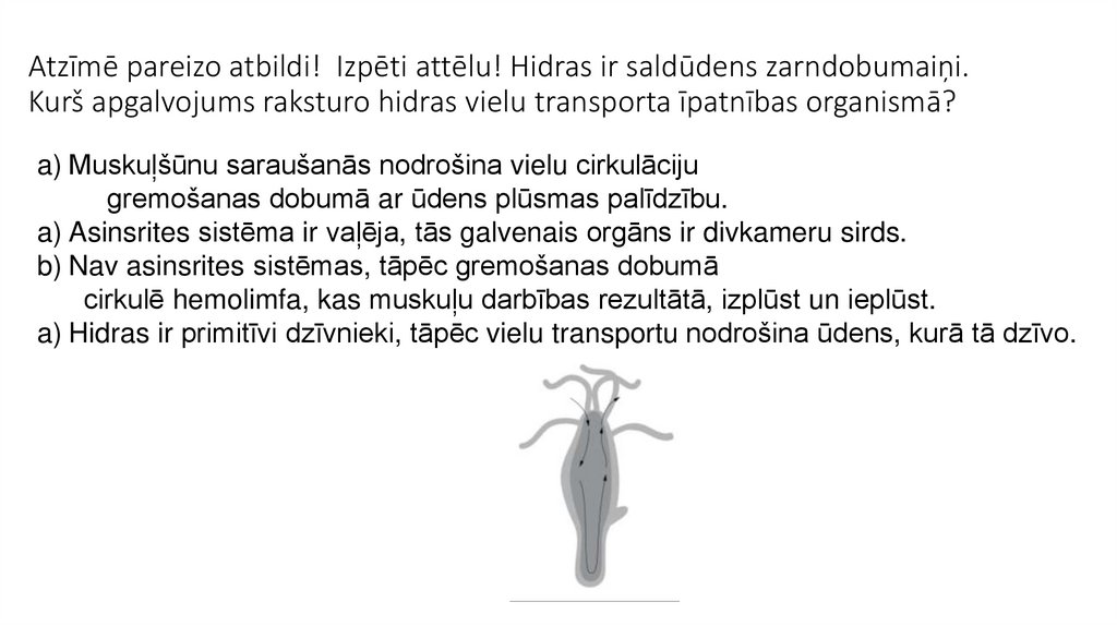 Atzīmē pareizo atbildi!  Izpēti attēlu! Hidras ir saldūdens zarndobumaiņi. Kurš apgalvojums raksturo hidras vielu transporta