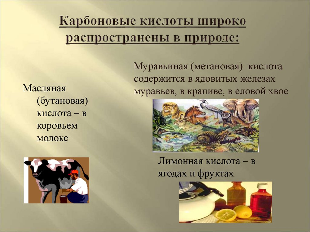 Карбоновые кислоты широко распространены в природе: