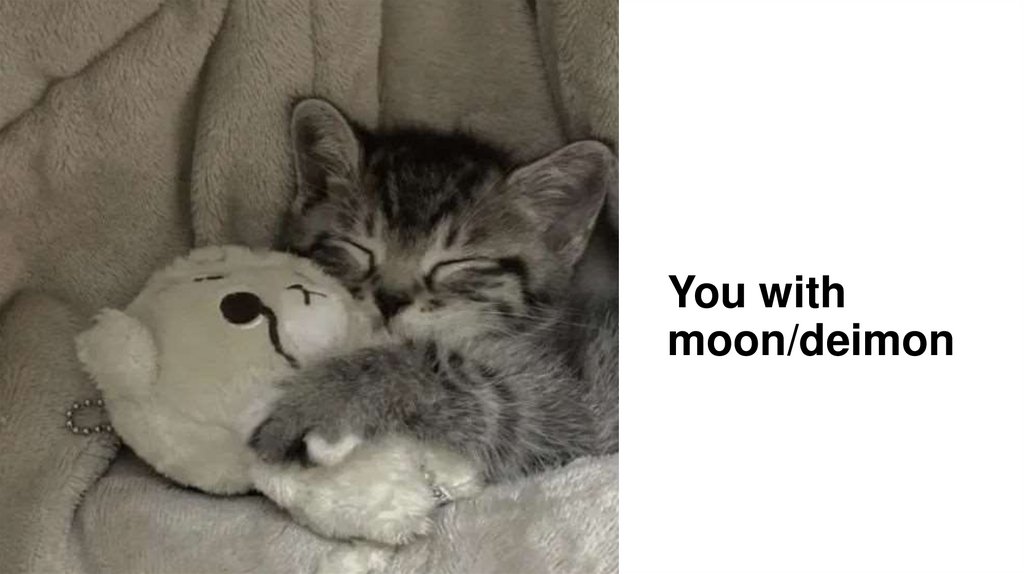 You with moon/deimon