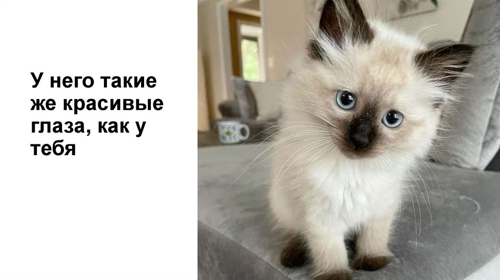 У него такие же красивые глаза, как у тебя