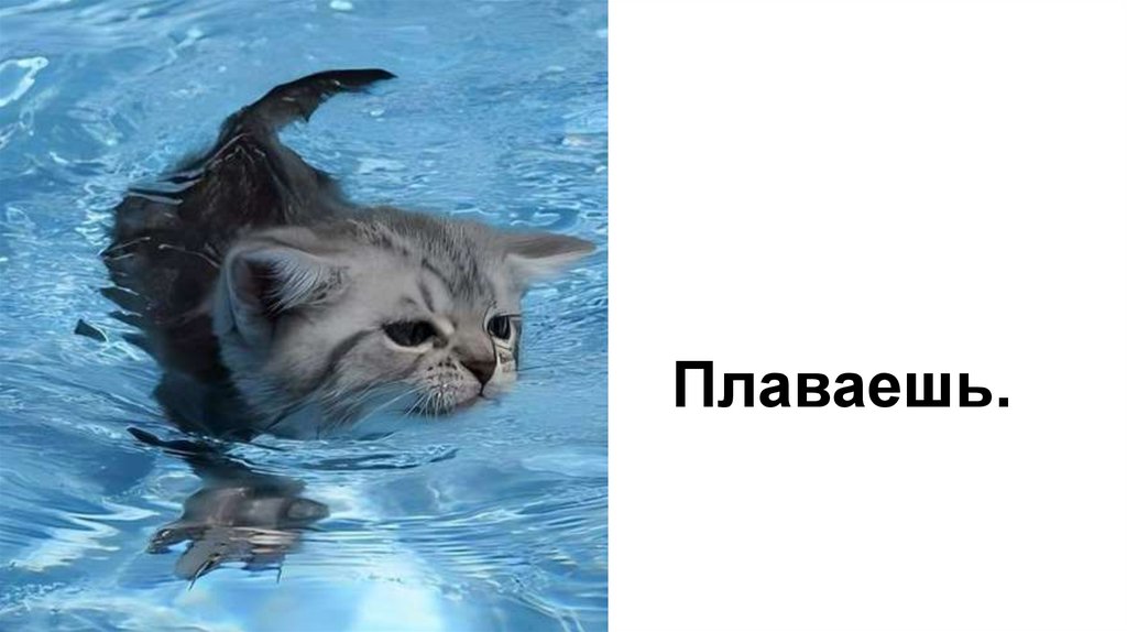 Плаваешь.