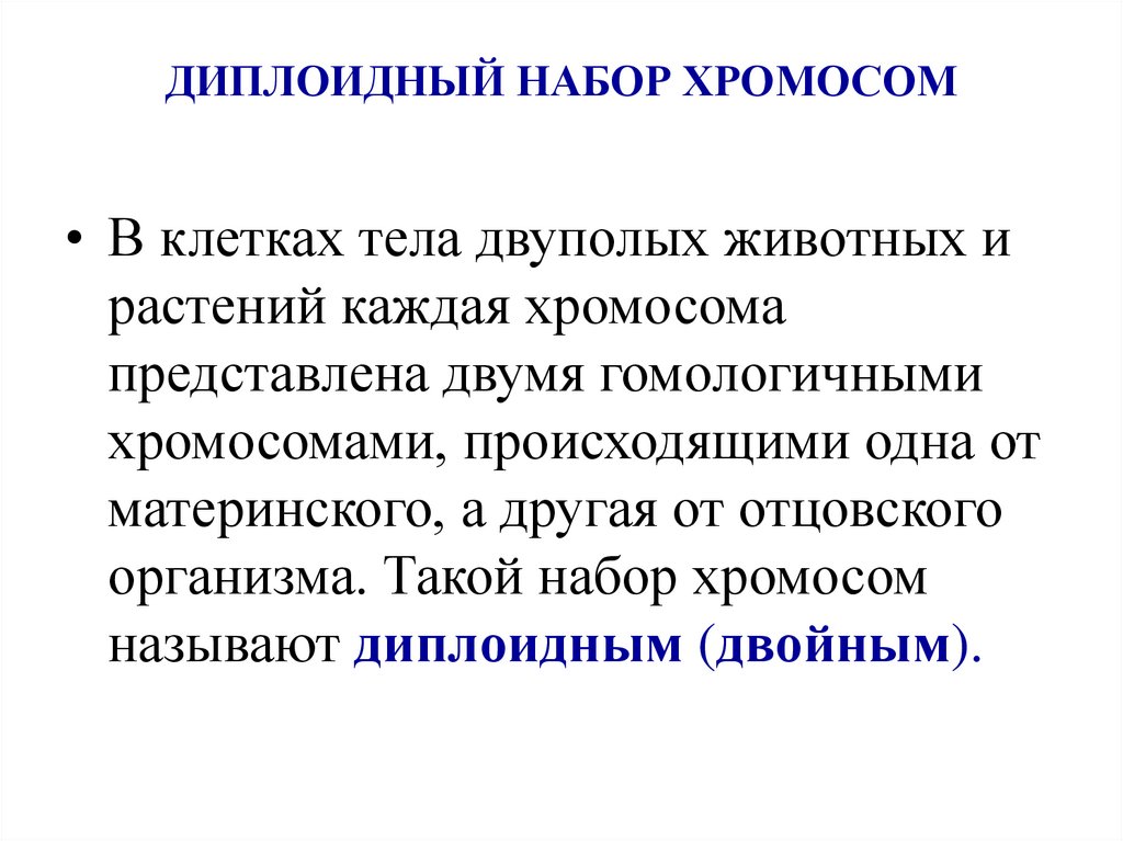 ДИПЛОИДНЫЙ НАБОР ХРОМОСОМ