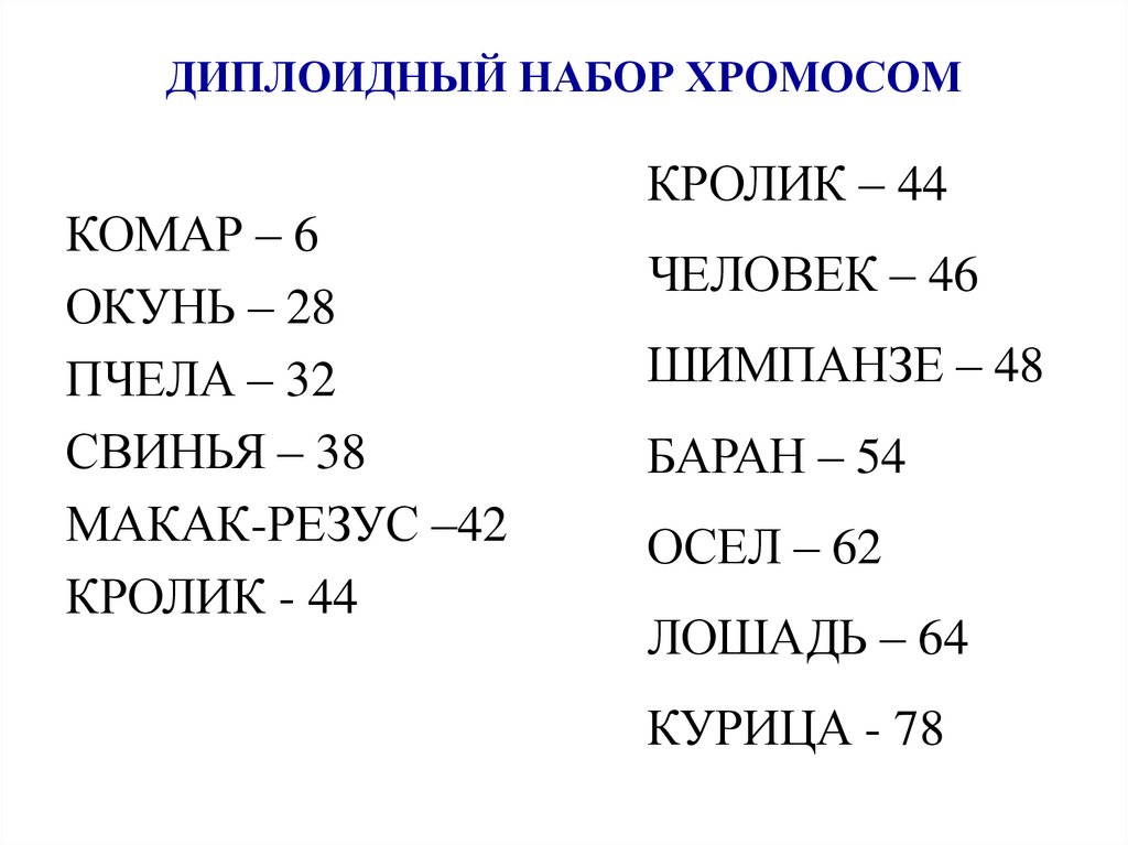 ДИПЛОИДНЫЙ НАБОР ХРОМОСОМ