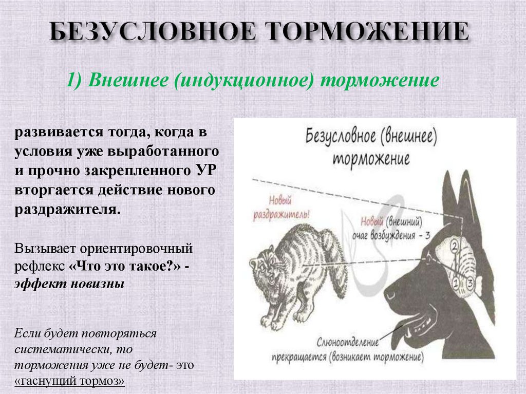 БЕЗУСЛОВНОЕ ТОРМОЖЕНИЕ