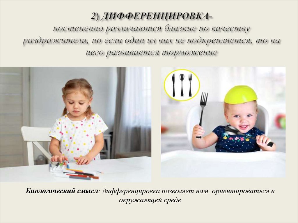 2) ДИФФЕРЕНЦИРОВКА- постепенно различаются близкие по качеству раздражители, но если один из них не подкрепляется, то на него