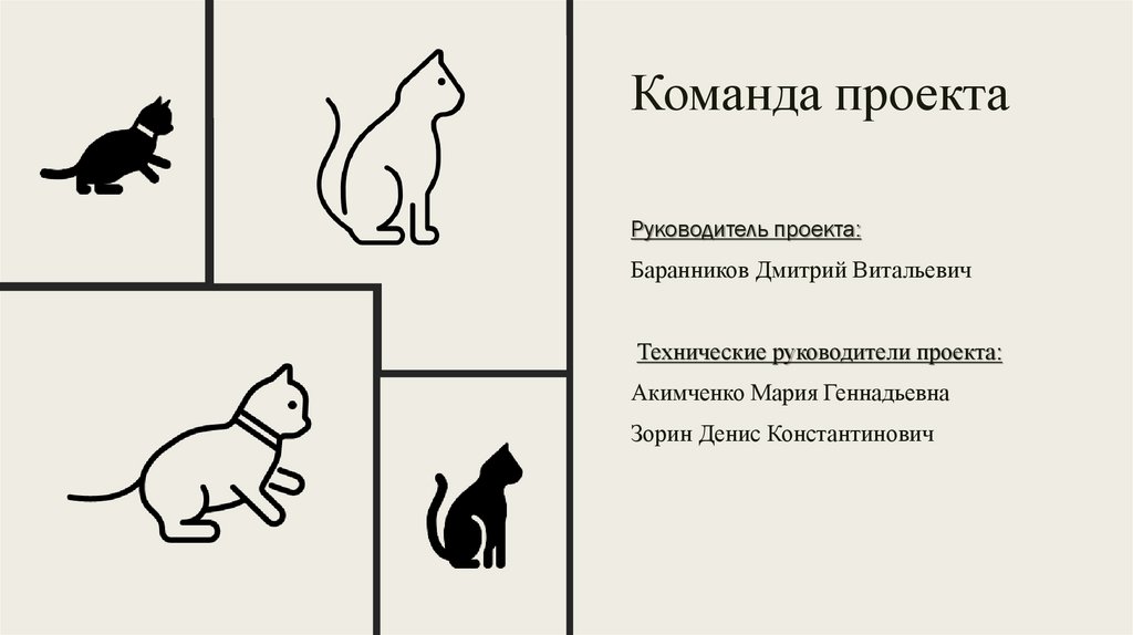 Команда проекта