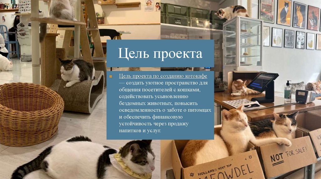 Цель проекта