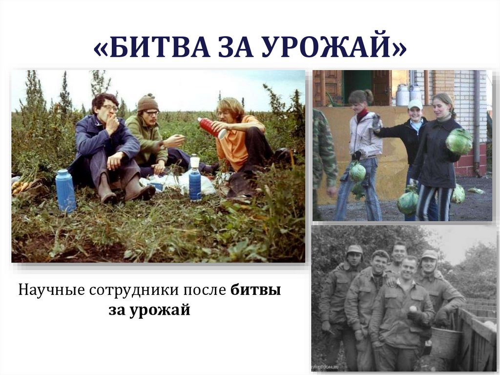 «БИТВА ЗА УРОЖАЙ»