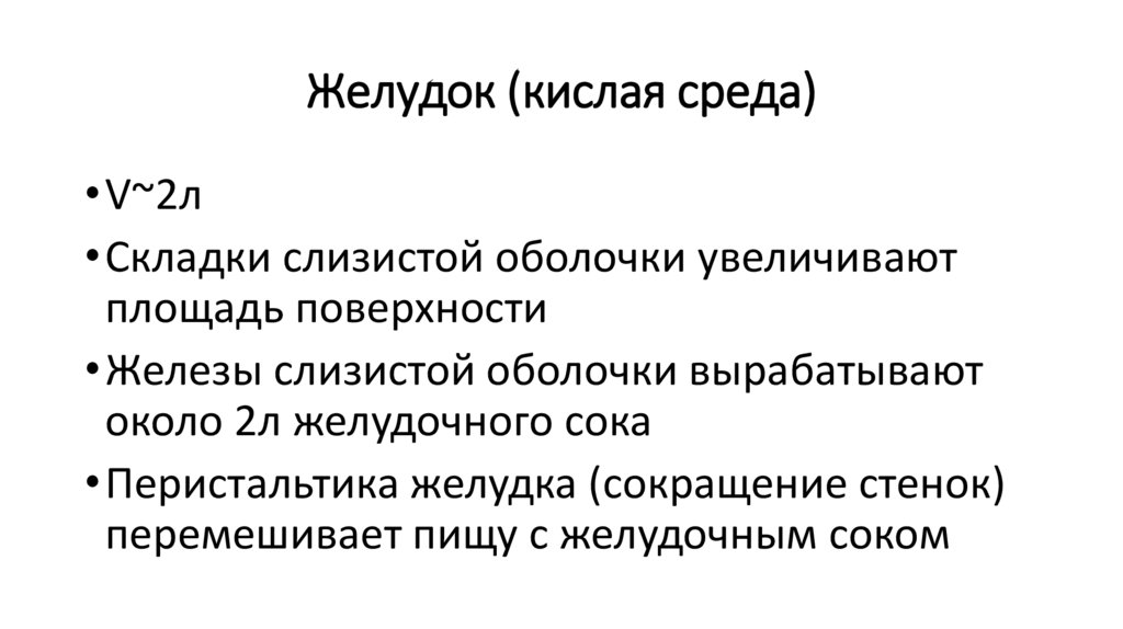 Желудок (кислая среда)