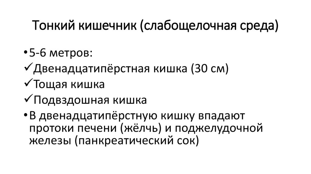 Тонкий кишечник (слабощелочная среда)