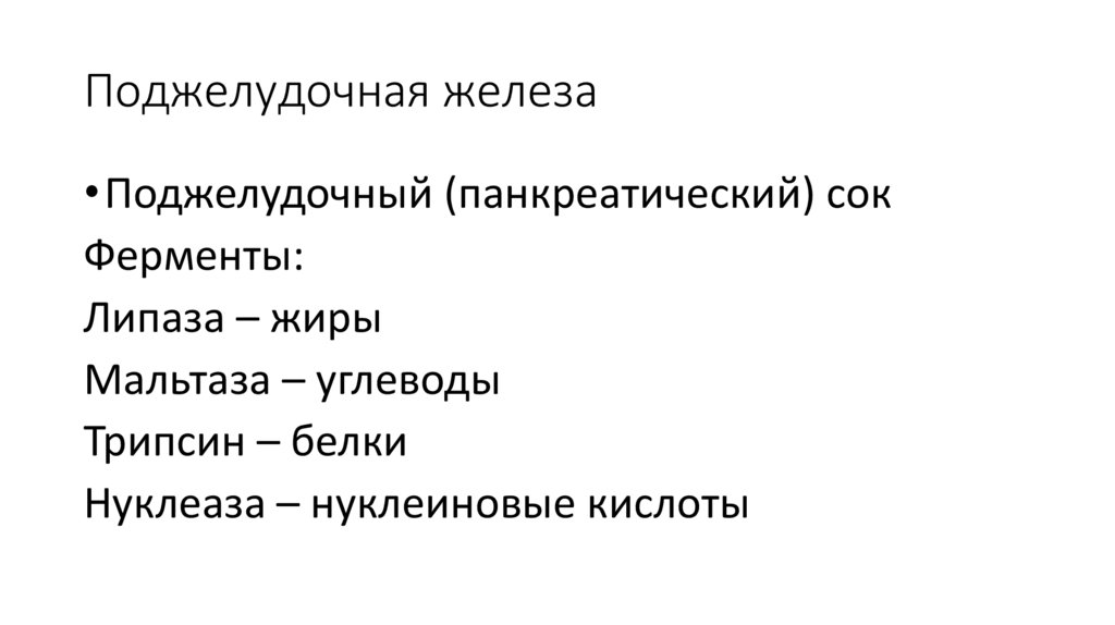 Поджелудочная железа