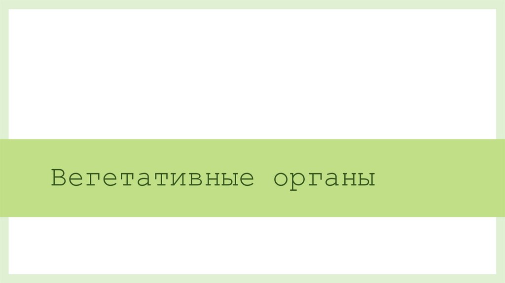 Вегетативные органы