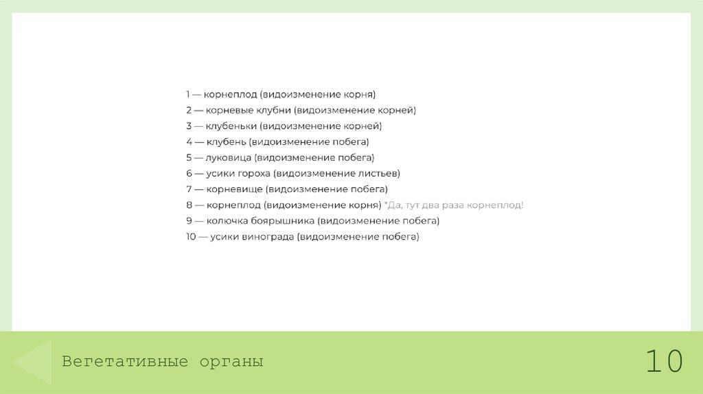 Вегетативные органы