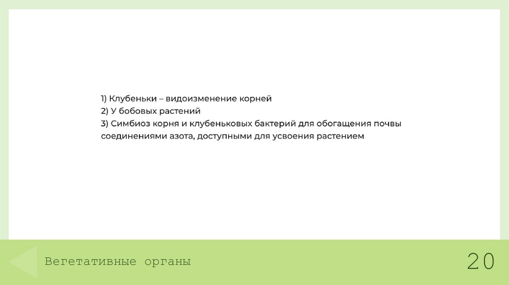 Вегетативные органы