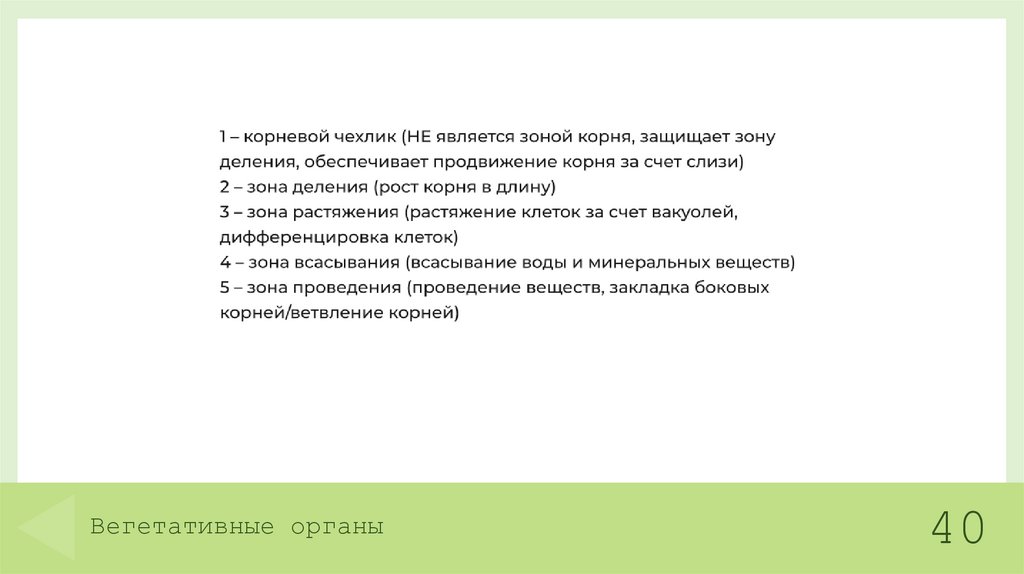 Вегетативные органы