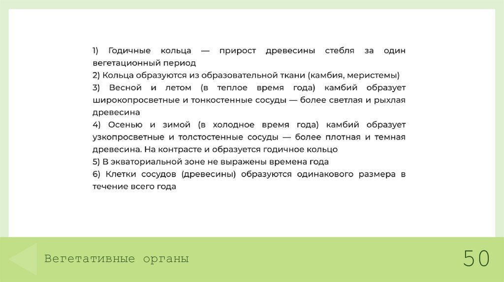 Вегетативные органы