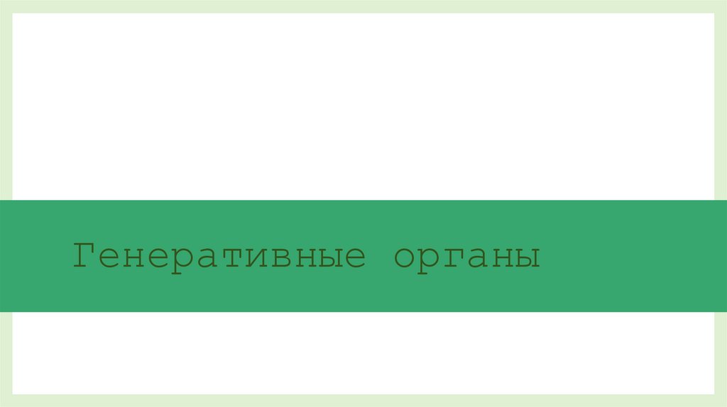 Генеративные органы