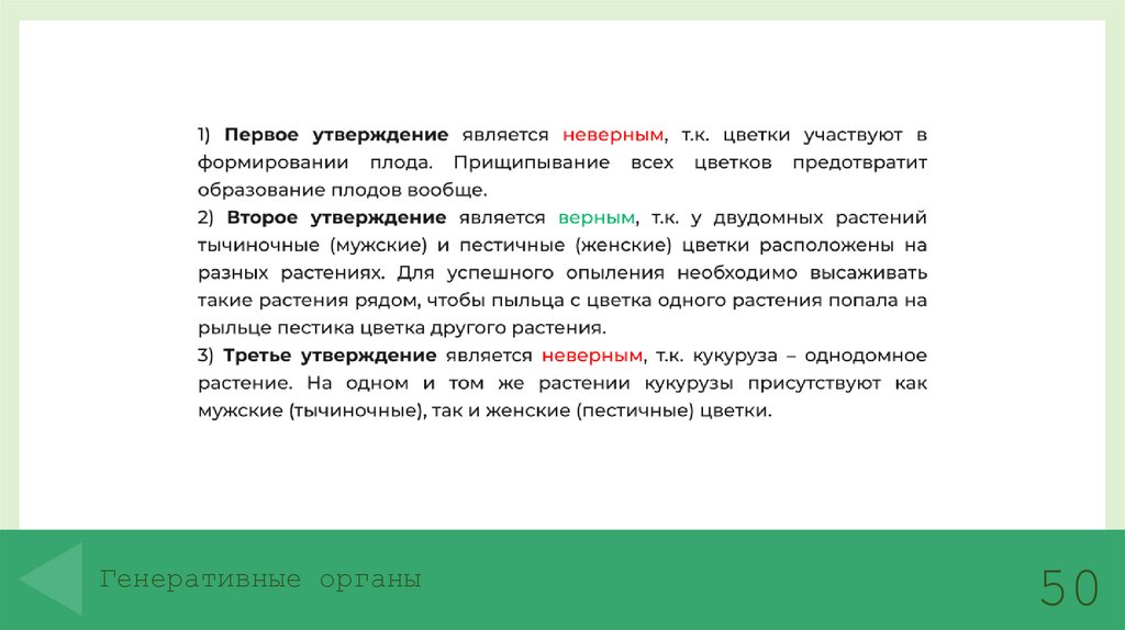 Генеративные органы