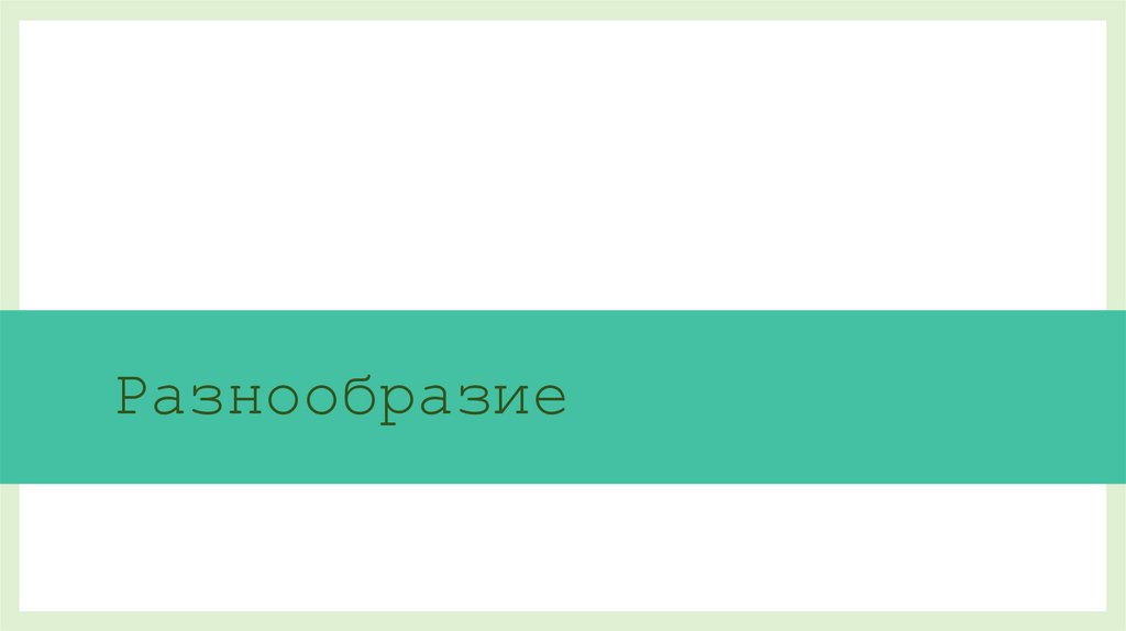 Разнообразие