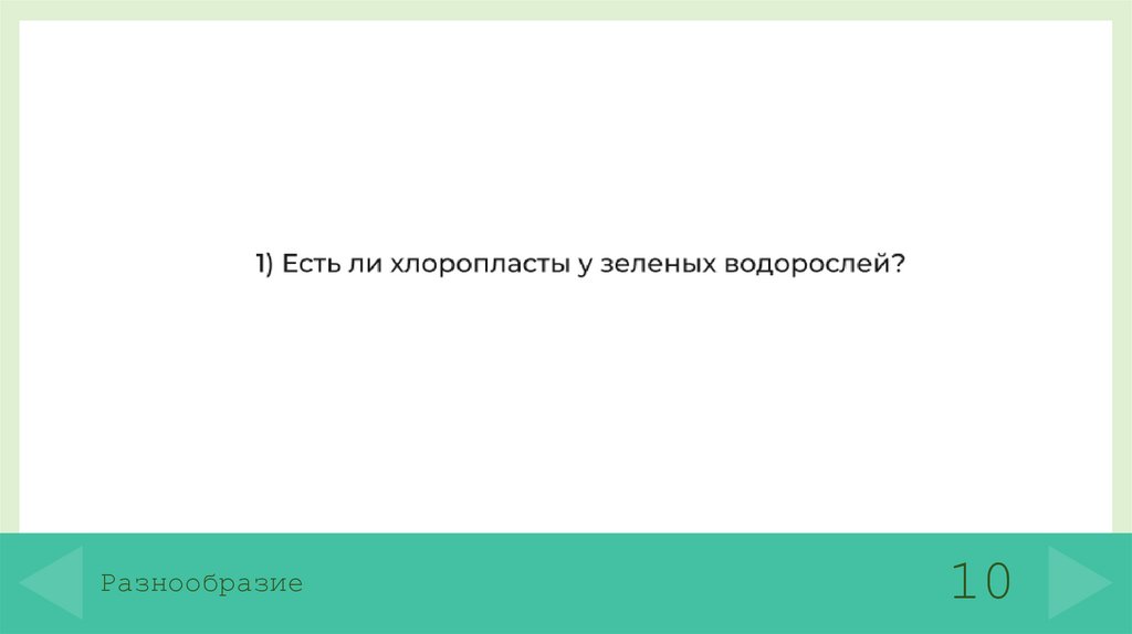 Разнообразие