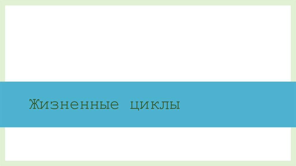 Жизненные циклы