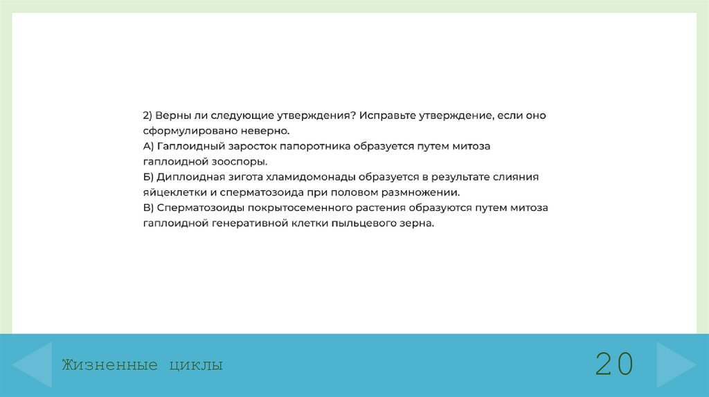 Жизненные циклы