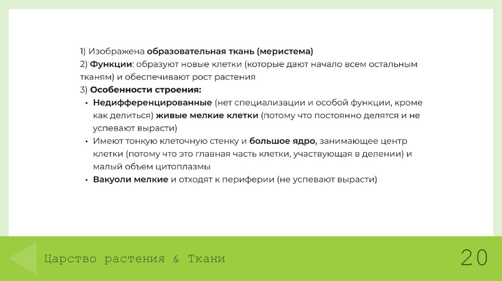 Царство растения & Ткани