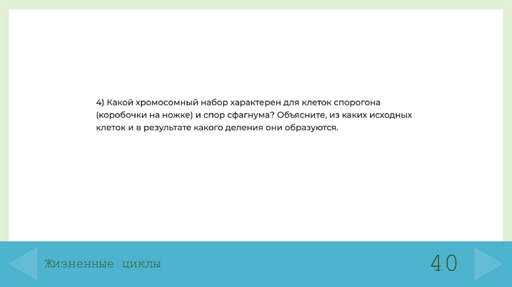 Жизненные циклы