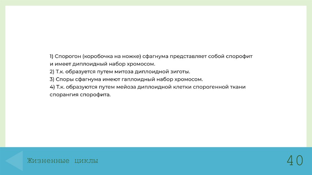 Жизненные циклы