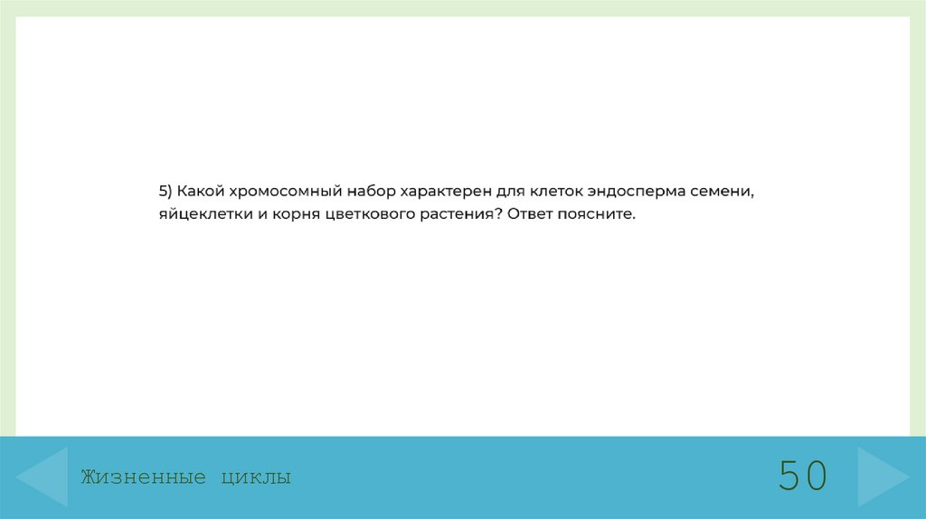 Жизненные циклы