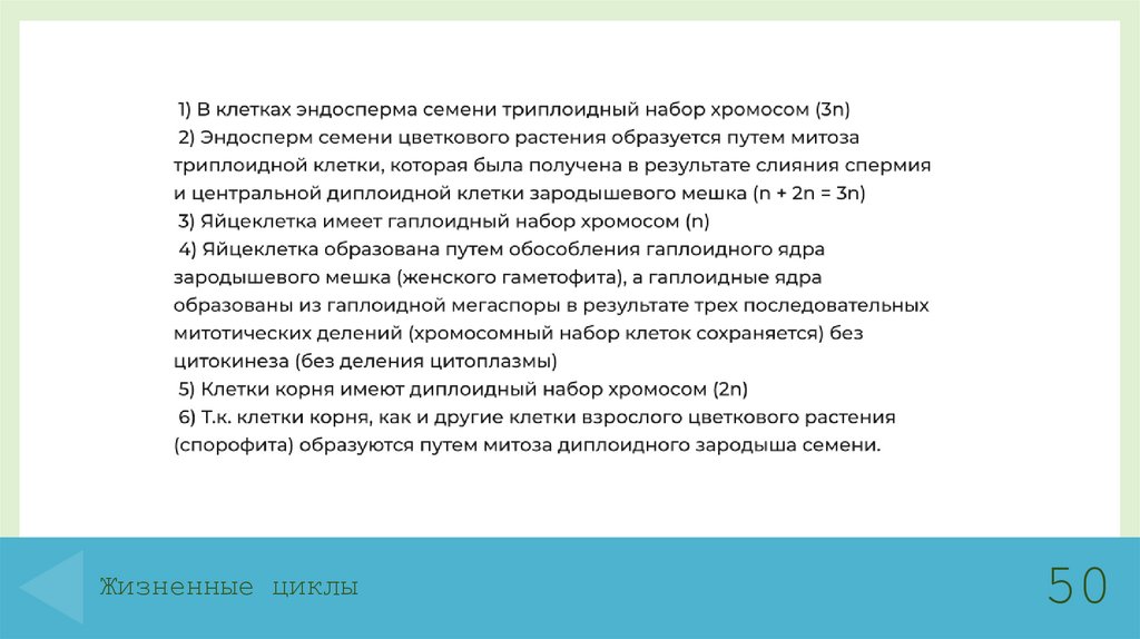 Жизненные циклы