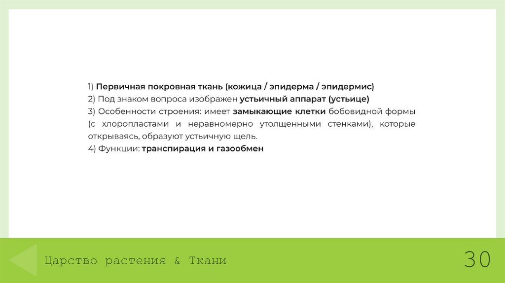 Царство растения & Ткани