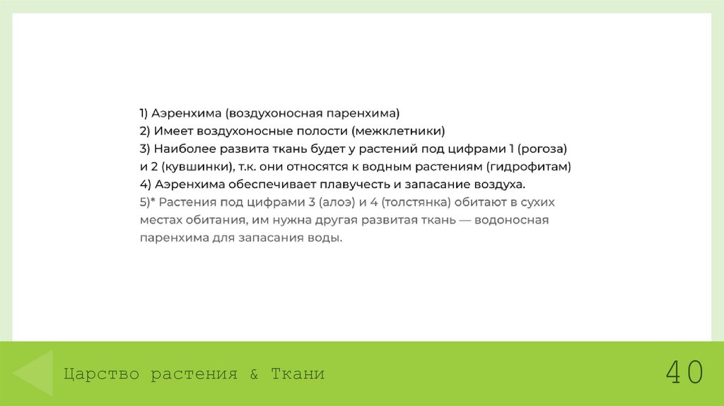 Царство растения & Ткани