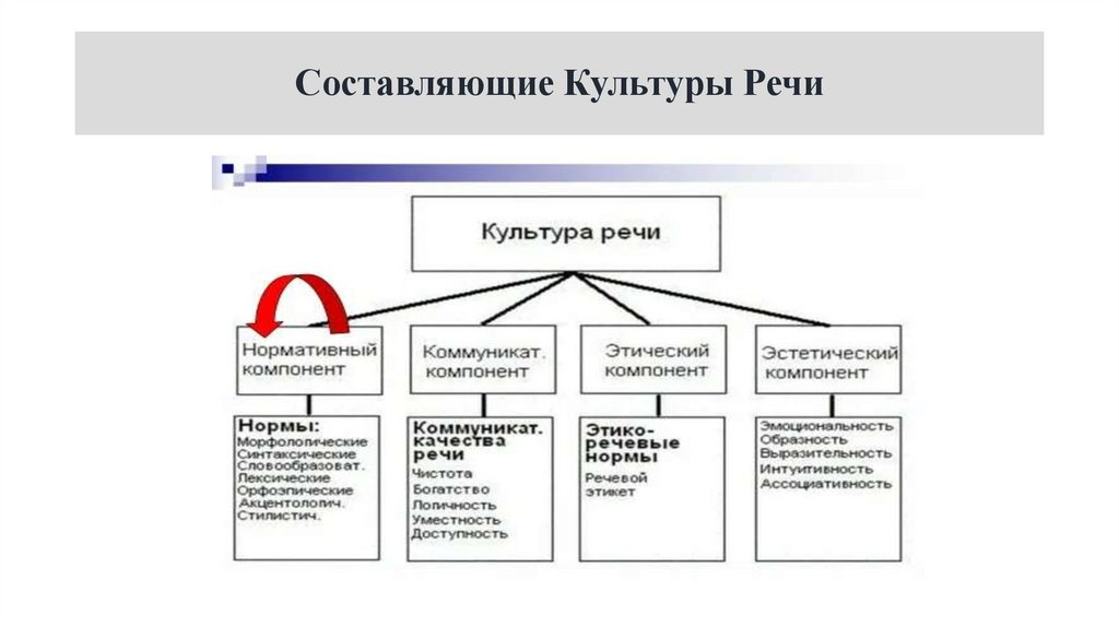 Составляющие Культуры Речи