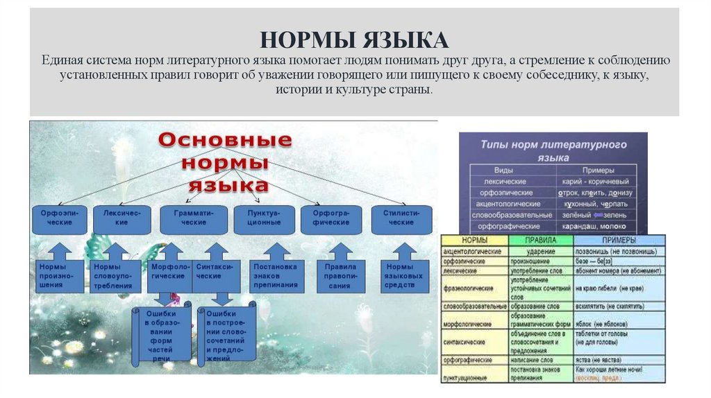 НОРМЫ ЯЗЫКА Единая система норм литературного языка помогает людям понимать друг друга, а стремление к соблюдению установленных
