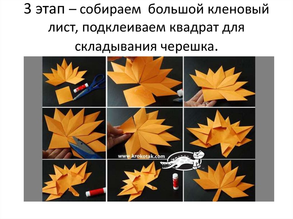 3 этап – собираем большой кленовый лист, подклеиваем квадрат для складывания черешка.