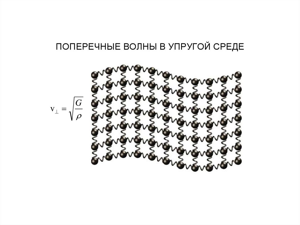 ПОПЕРЕЧНЫЕ ВОЛНЫ В УПРУГОЙ СРЕДЕ