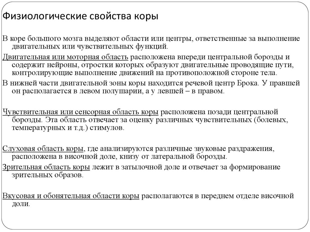 Физиологические свойства коры