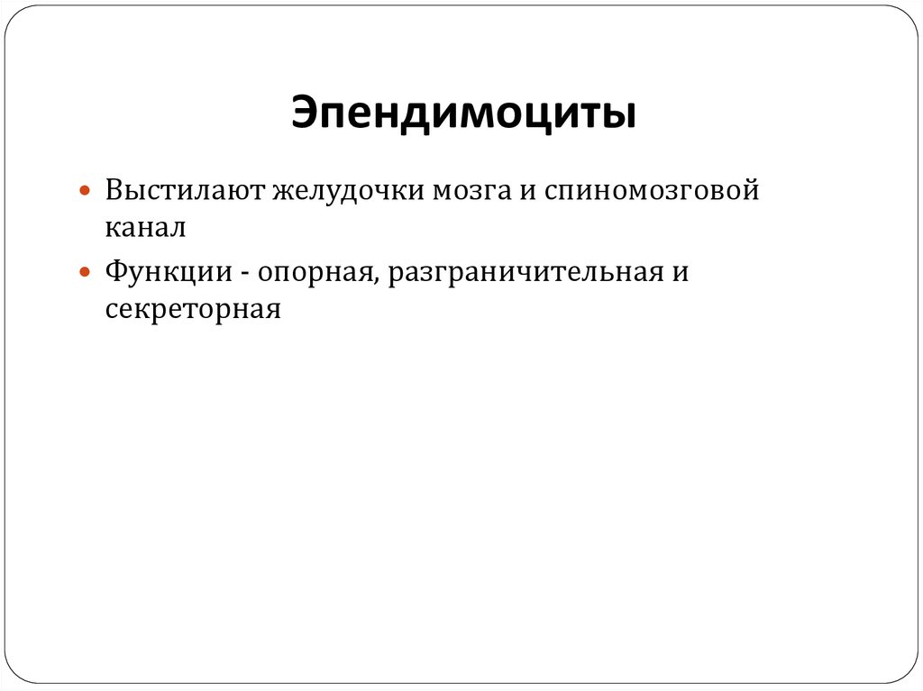 Эпендимоциты