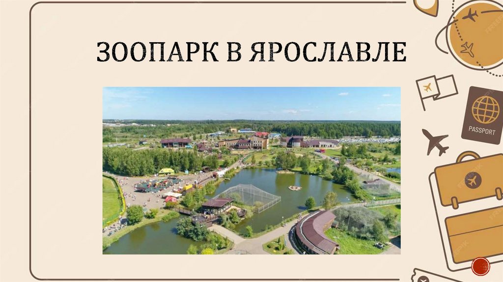 Зоопарк в ярославле