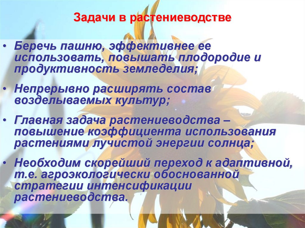 Задачи в растениеводстве