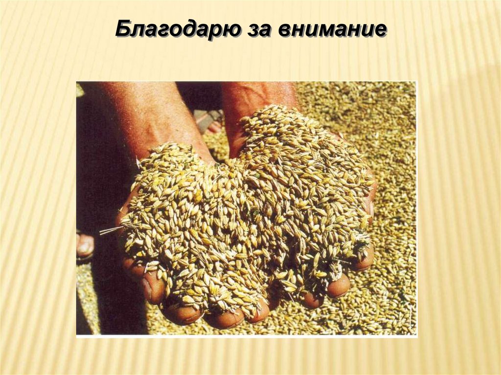 Благодарю за внимание