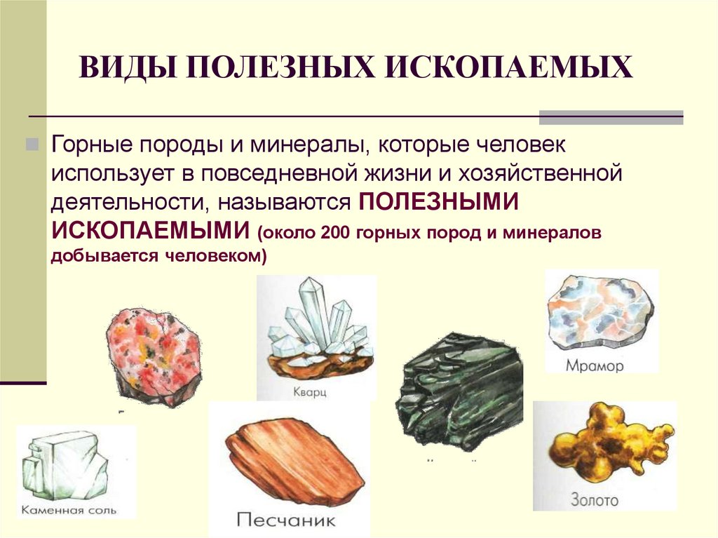 ВИДЫ ПОЛЕЗНЫХ ИСКОПАЕМЫХ