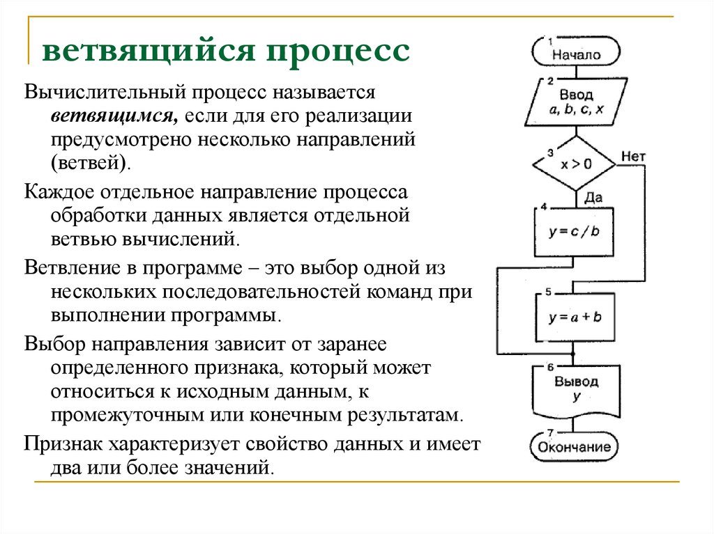 ветвящийся процесс